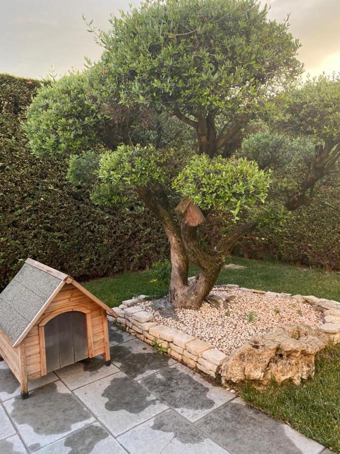 مبيت وإفطار مونتيجروتو تيرمي Wooden House المظهر الخارجي الصورة